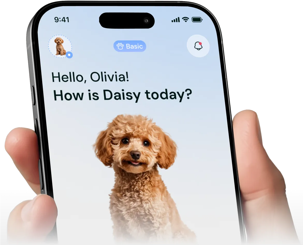 A hand holding a phone displaying the Pethls app